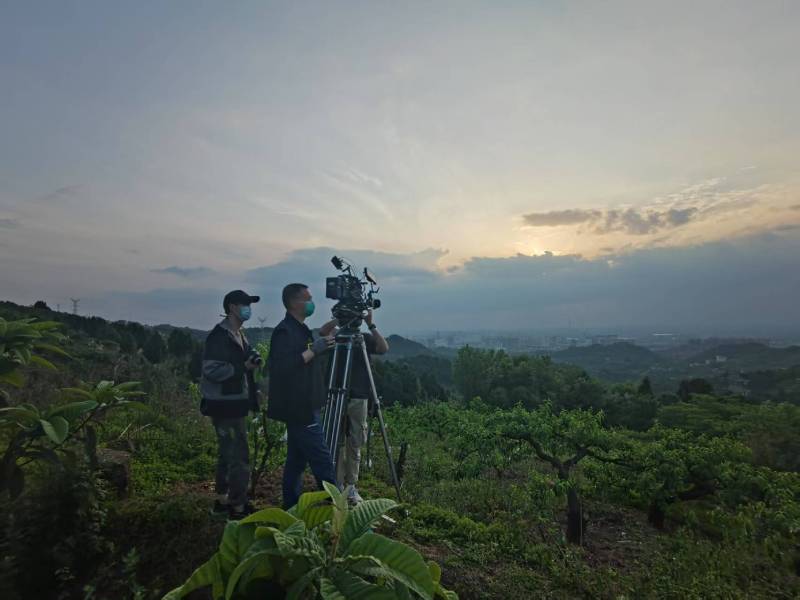 创意破圈！大石桥市电商产品宣传视频用故事化叙事引爆流量