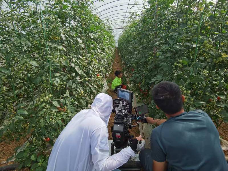 大石桥市产品宣传视频拍摄公司进阶指南，助力品牌抢占传播高地